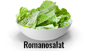 A1-Romanosalat