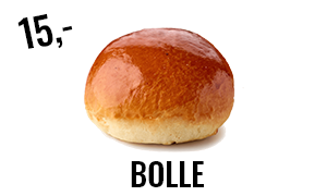 B1-Bolle_TEKST