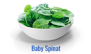 Baby-Salat-web